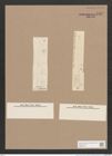 Navicula sp. (de-Toni-Nr.: Genus 1, Species 1095 ?) Zeichnungen Sammlung Grunow Nr. 1582 (NHMW-BOT-W0368119)
